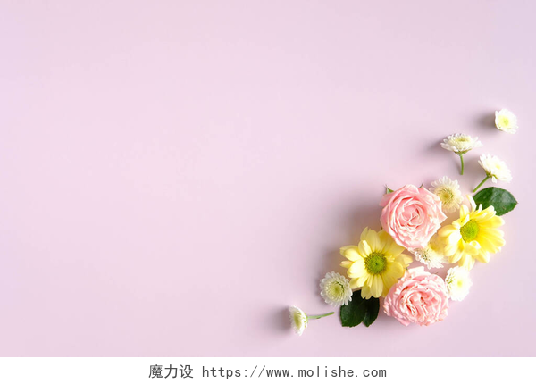 粉色背景上的花朵粉红背景的植物构图。母亲节快乐，生日快乐，结婚纪念日快乐.